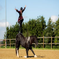 _l8b9935-standard.jpg