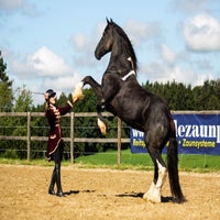_l8b9992-standard.jpg