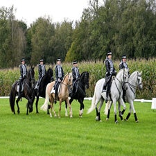 dsc_1504-standard.jpg