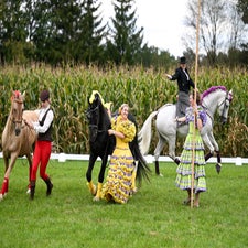 dsc_2849-standard-ya57k0.jpg