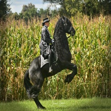 dsc_3999-standard-lf3g2m.jpg