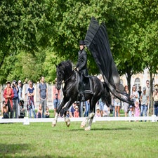 dsc_7611-standard.jpg