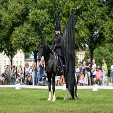 dsc_7930-standard.jpg
