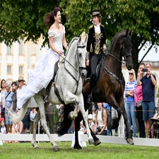 dsc_8968-standard.jpg