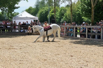 img-20160529-wa0017.jpg