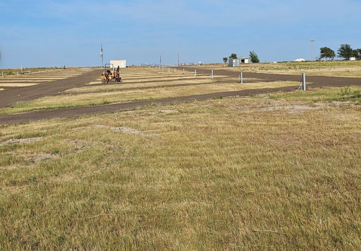 SodDawg RV Park photo 3