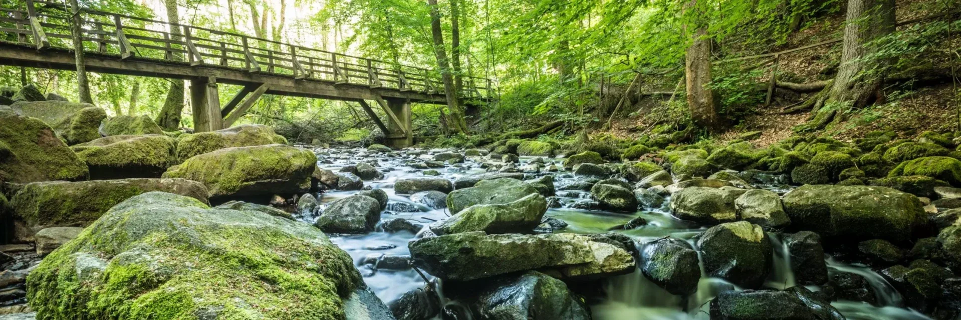Fotobox, andys-blitzkidte westerburg, Gemünden, Hochzeit, Geburtstag, Photobooth