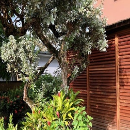 image14-2.jpeg