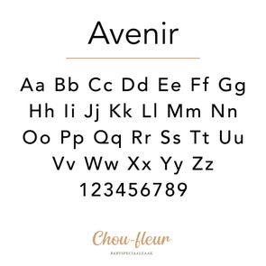 fonts_chou-fleur13-standard.jpg