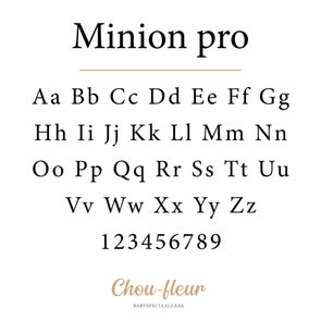 fonts_chou-fleur14-standard.jpg