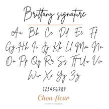 fonts_chou-fleur17-standard.jpg