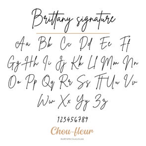 fonts_chou-fleur17-standard.jpg