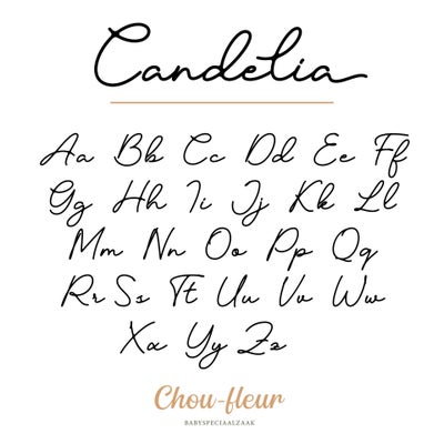 fonts_chou-fleur6-standard-h9394c.jpg