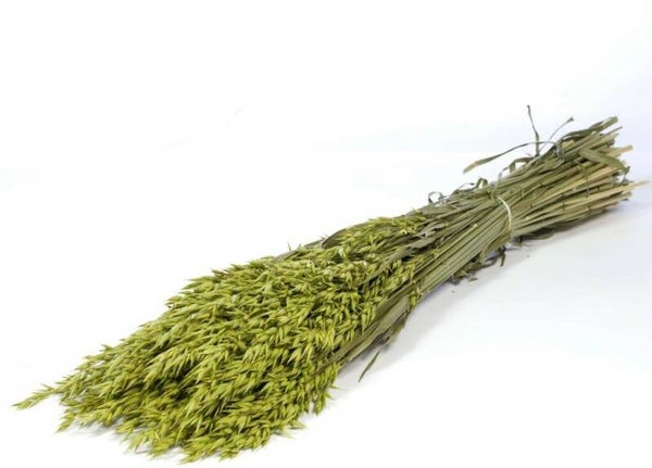 Haver bundel - Groen
