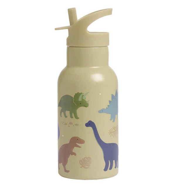 RVS drinkfles: Dinosaurussen