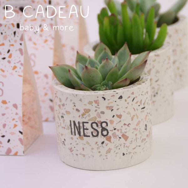 Tarrazzo potje met plantje