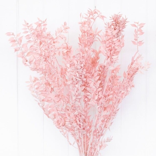 Gedroogde Ruscus lichtroze