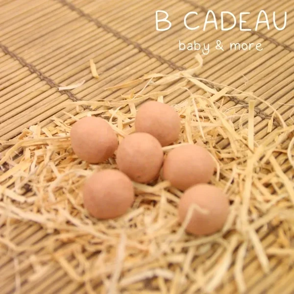 Bloembommetjes - Plum