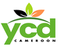 Youth &amp; Contemporary Development