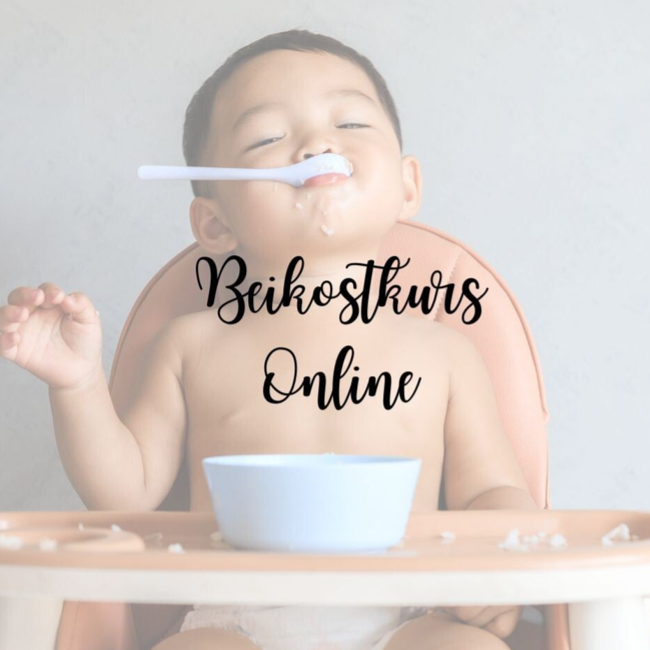 Beikost- Kurs ONLINE