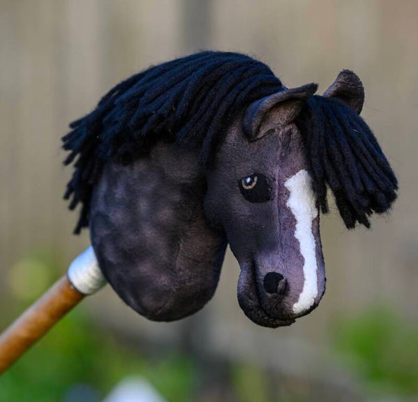 Hobbyhorse XS night