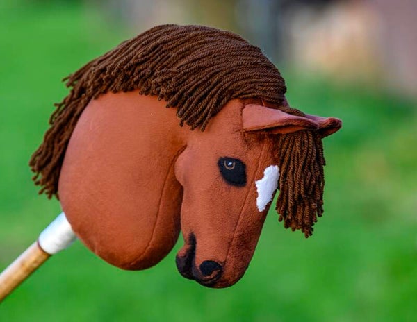 Hobbyhorse dressage champion