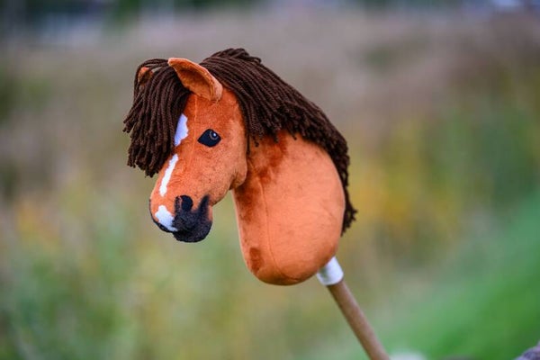 Hobbyhorse size M flames