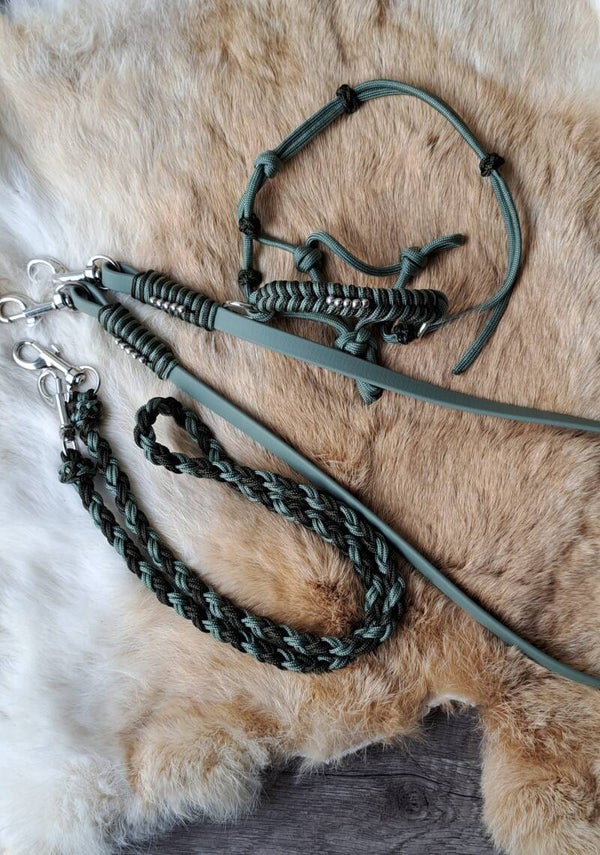Set + 2x reins pour XS Hobbyhorse green