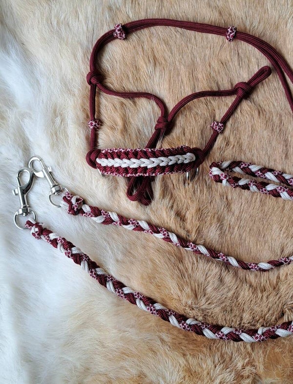 Set pour XS Hobbyhorse
