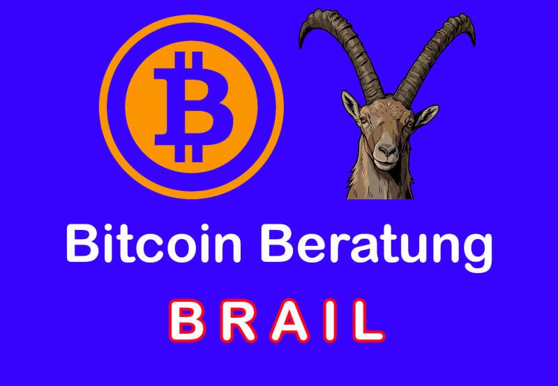 Bitcoin Beratung Brail– Sicher investieren lernen
