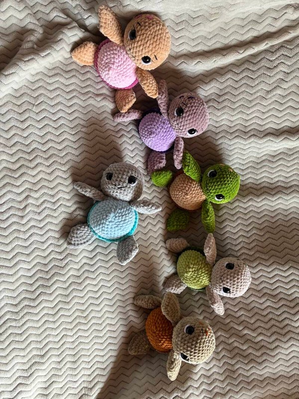 Schildkröte in Wunschfarben