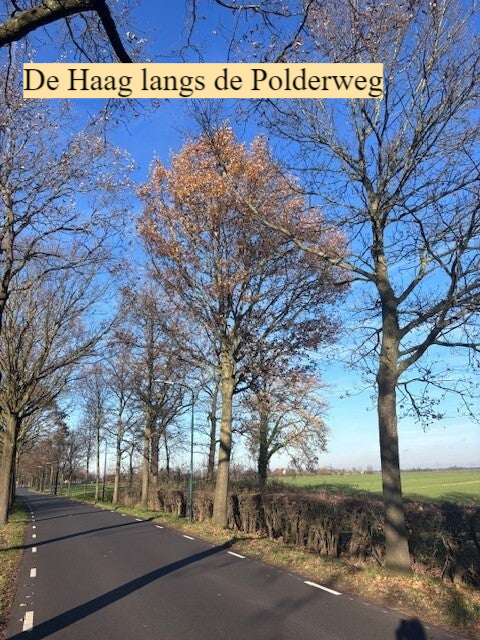 Haag Polderweg