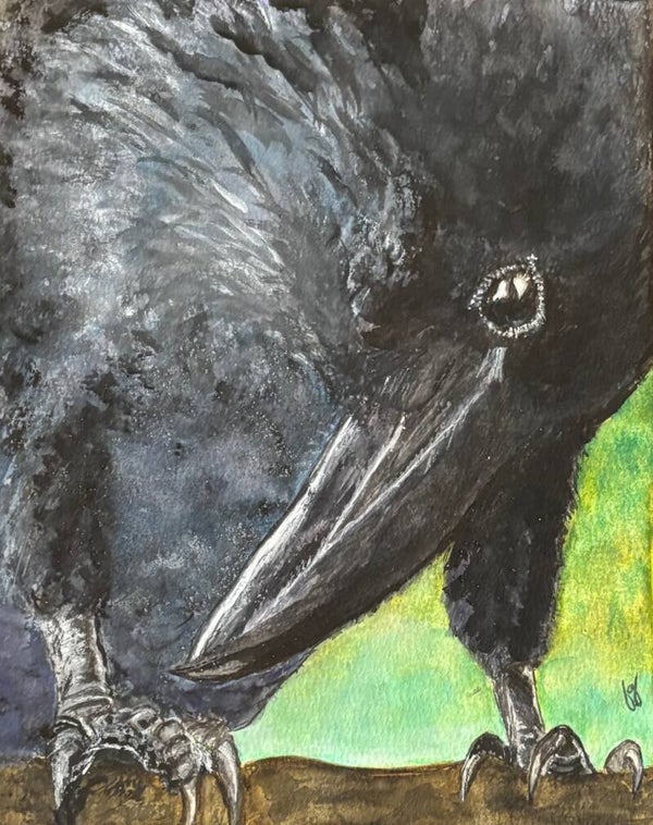 "Curious Crow" - 8.5" x 10" Hand Painted Watercolor + US Tax