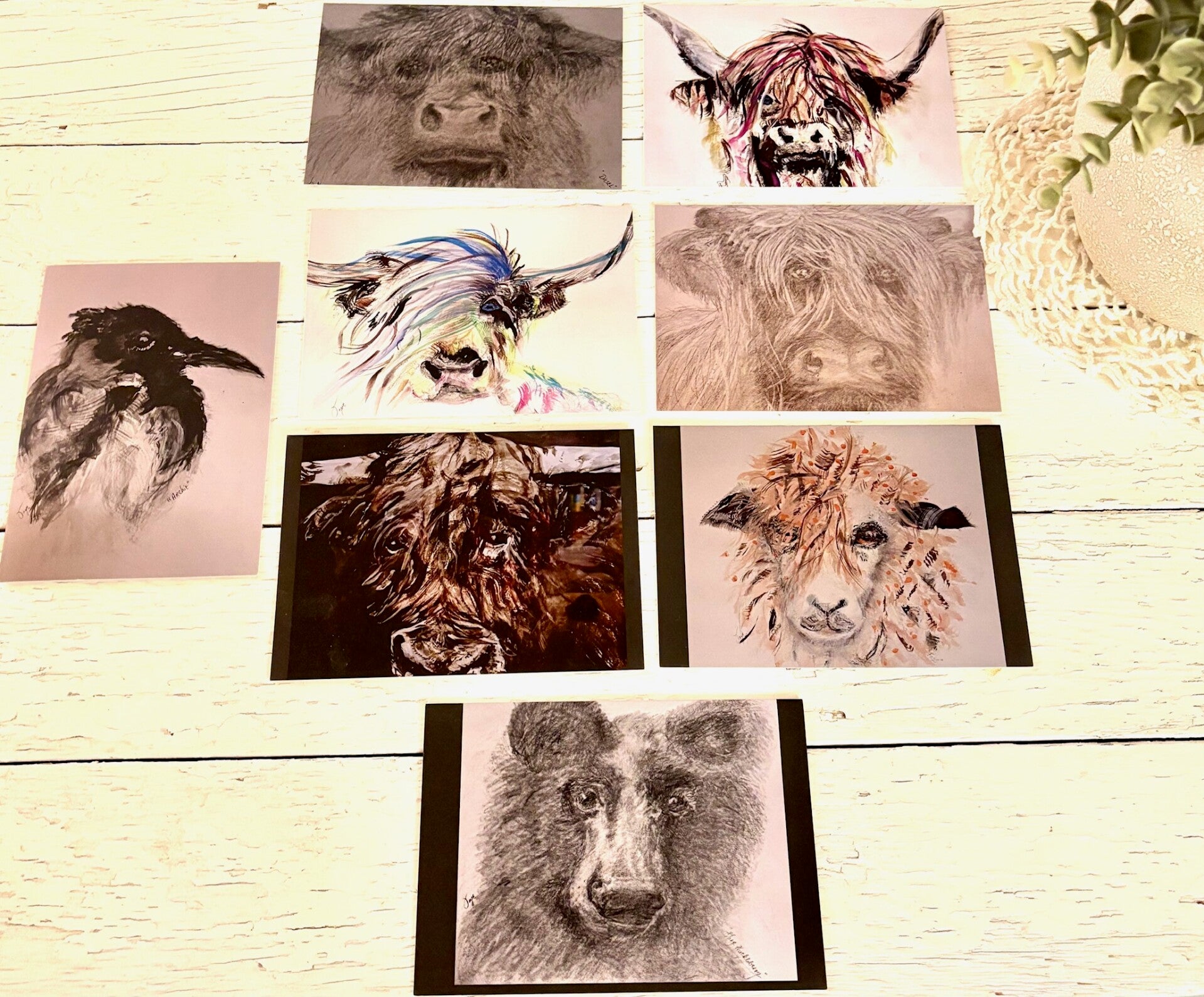 "Whimsy" Assorted Blank Greeting Cards 4" x 6" + Tax & Free US Shipping