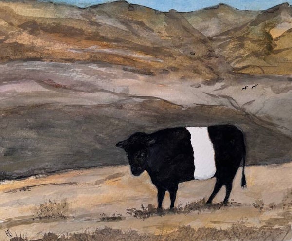 "Pudge The Belted Cow" - 8" x 10" Hand Painted Watercolor + US Tax