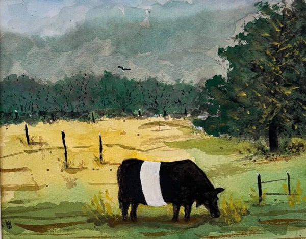 "Lone Belted Cow" - 8.5" x 10" Hand Painted Watercolor + US Tax