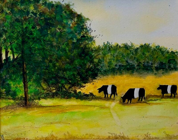 "Curious Belted Cows" - 8.5" x 10" Hand Painted Watercolor + US Tax