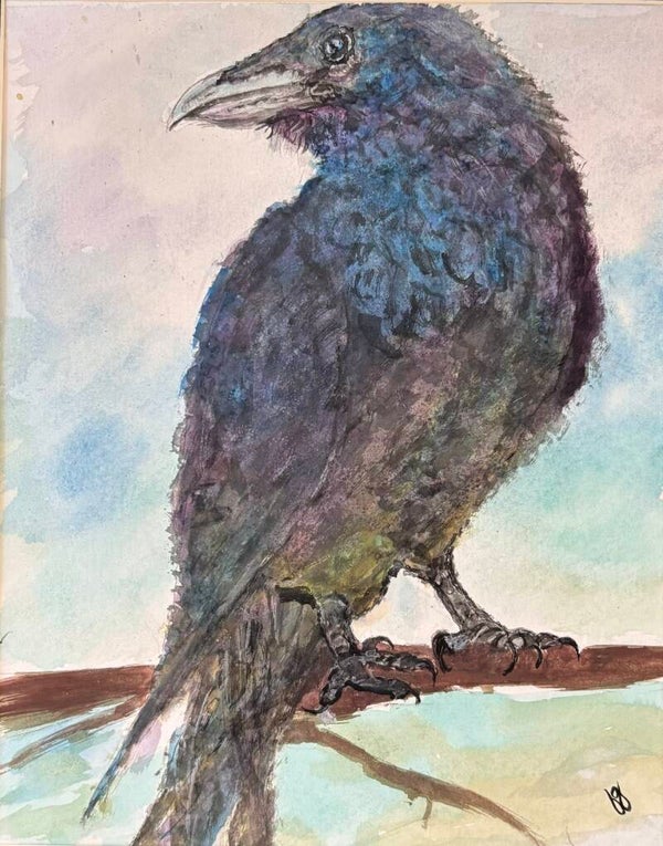 "Somber Crow" - 8" x 10" Hand Painted Watercolor + US Tax