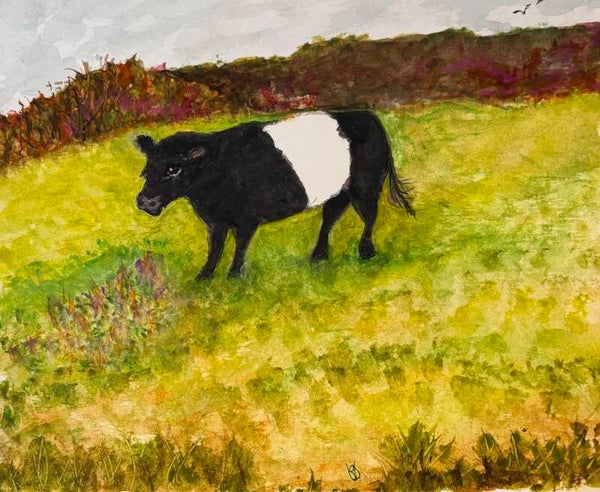 "Baby Belted Cow" - 8.5" x 10" Hand Painted Watercolor + US Tax