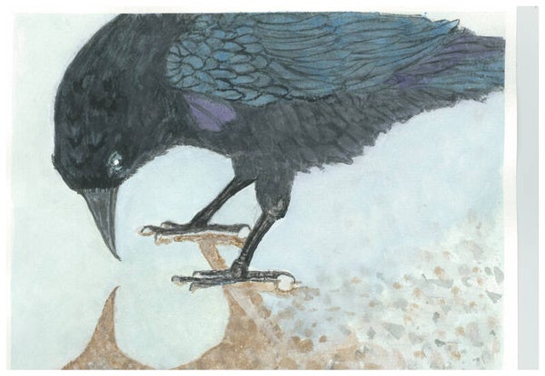 "Crow On Beach" - 8" x 10" Hand Painted Original Watercolor + US Tax