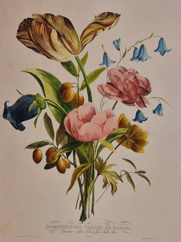 Composition variée de fleurs nr 12. Paul Jerrard 1852.
