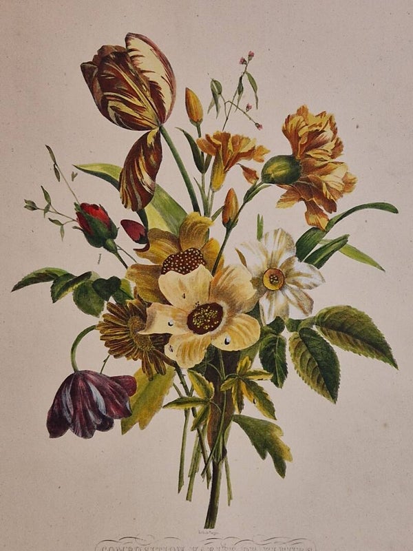 Composition variée de fleurs nr 11. Paul Jerrard 1852.