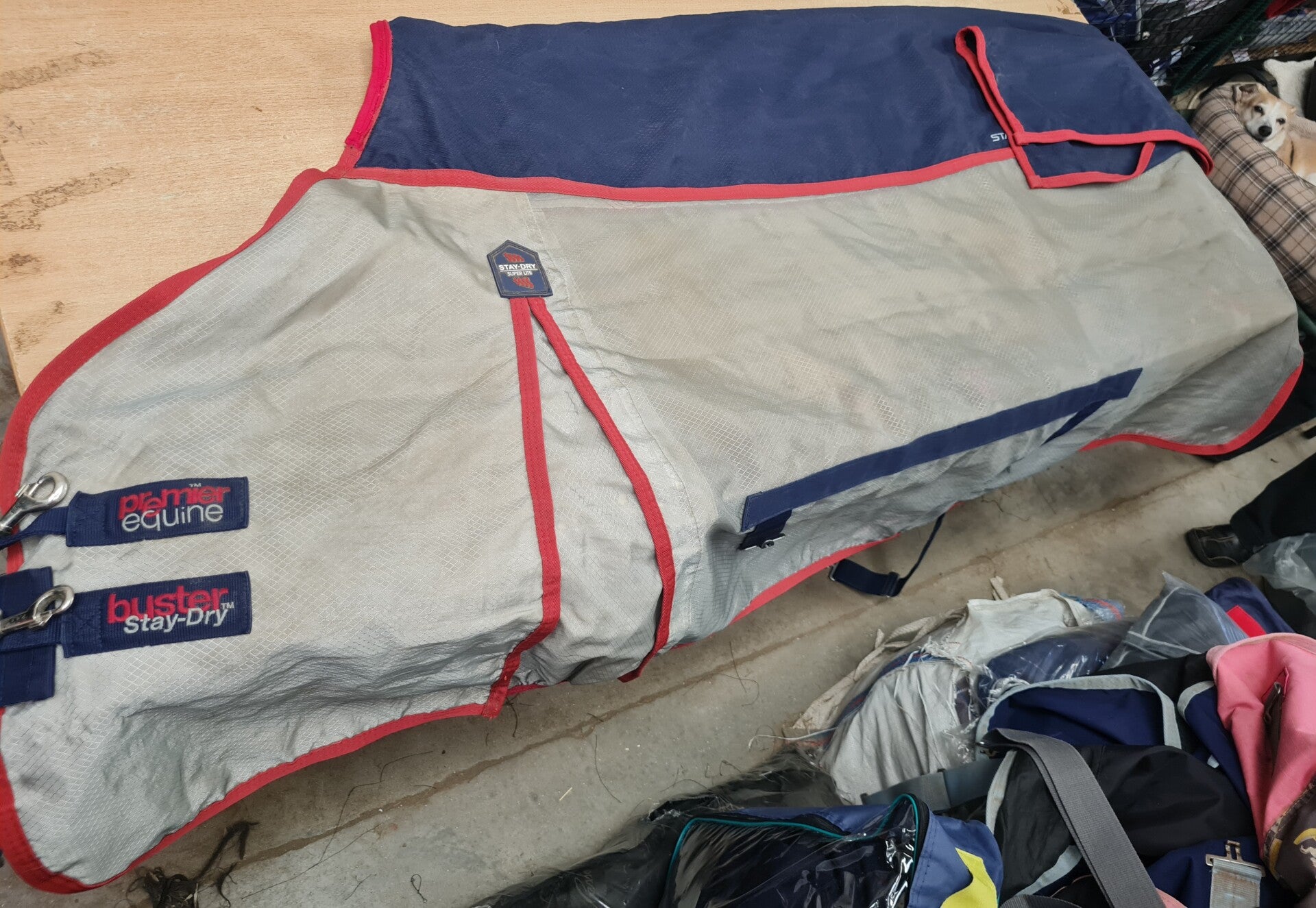 6'3 Premier Equine Waterproof Fly Rug (standard neck) - Preloved