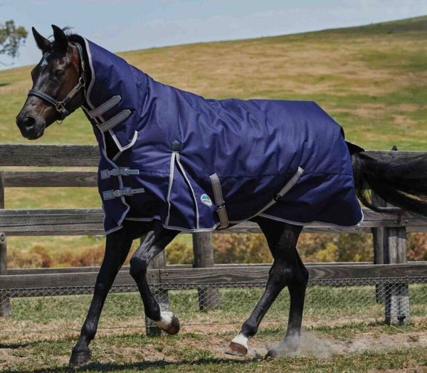 6'3 Weatherbeeta 1200d 220g Combo Turnout rug