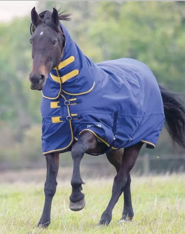 6'3 Shires Tempest 300g Combo turnout rug