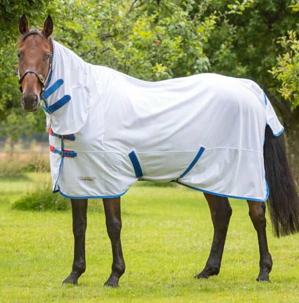 5'6 Shires Tempest fly rug combo (royal blue trim)
