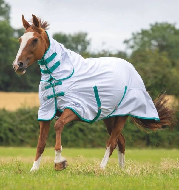 5'3 Shires tempest mesh combo fly rug (green trim)