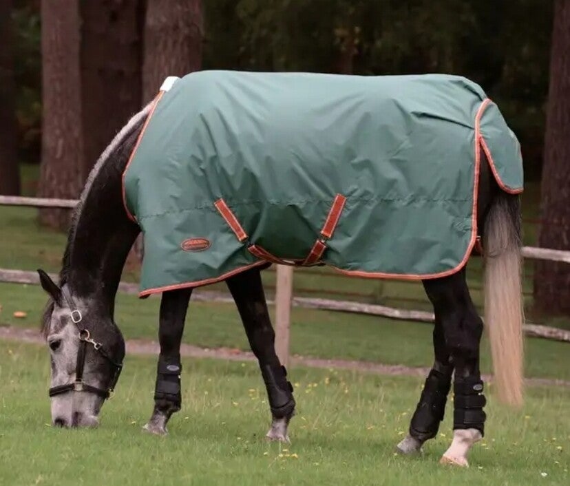 5'6 Weatherbeeta 50g Turnout Rug