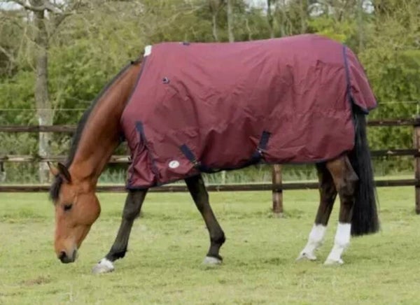 5'6 Jhl lightweight plus (80g) Standard Neck Turnout Rug
