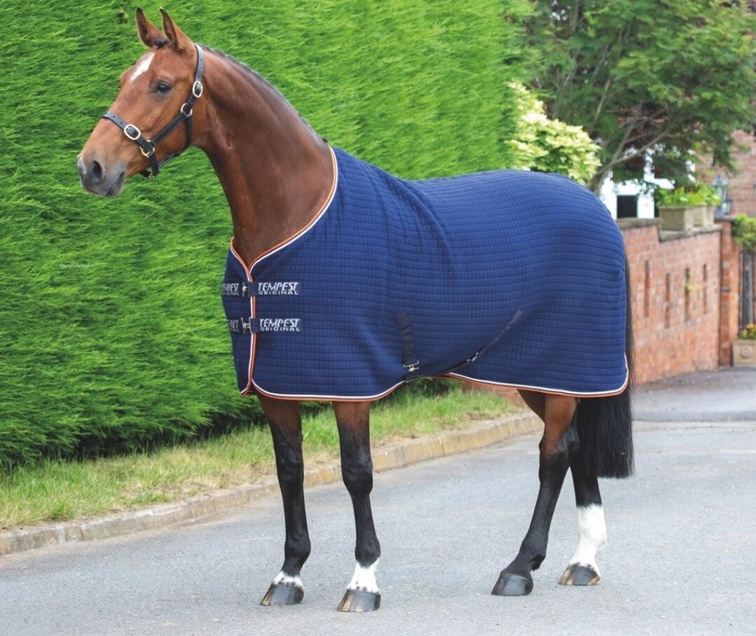 5'9 Shires Tempest Tech Cooler Rug - Similar To Thermatex